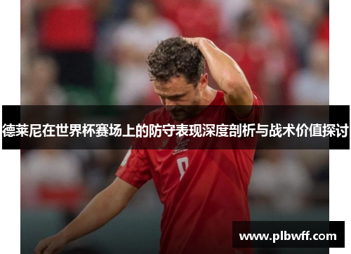 德莱尼在世界杯赛场上的防守表现深度剖析与战术价值探讨