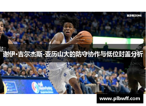 谢伊·吉尔杰斯-亚历山大的防守协作与低位封盖分析