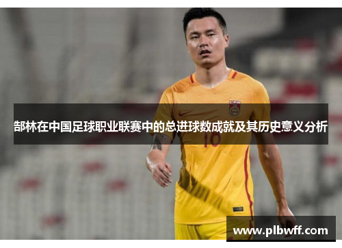郜林在中国足球职业联赛中的总进球数成就及其历史意义分析