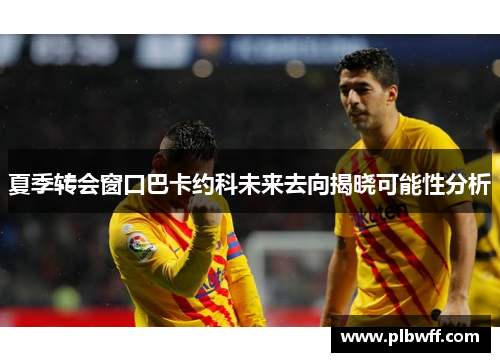 夏季转会窗口巴卡约科未来去向揭晓可能性分析