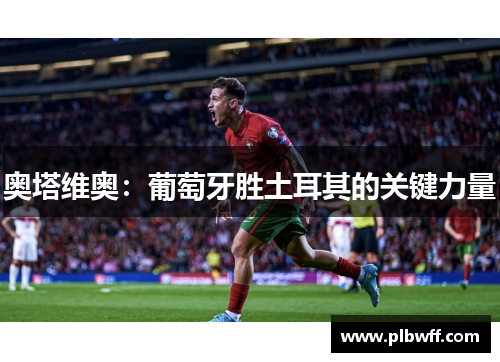 奥塔维奥：葡萄牙胜土耳其的关键力量