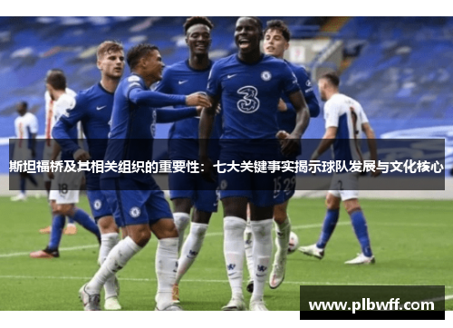 斯坦福桥及其相关组织的重要性：七大关键事实揭示球队发展与文化核心