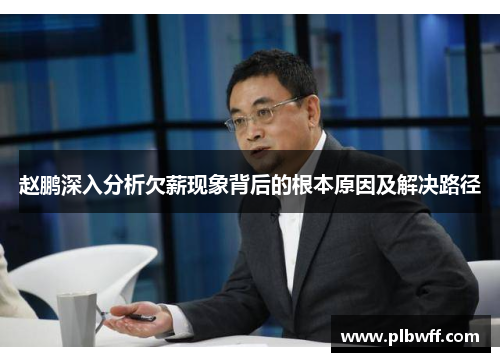 赵鹏深入分析欠薪现象背后的根本原因及解决路径