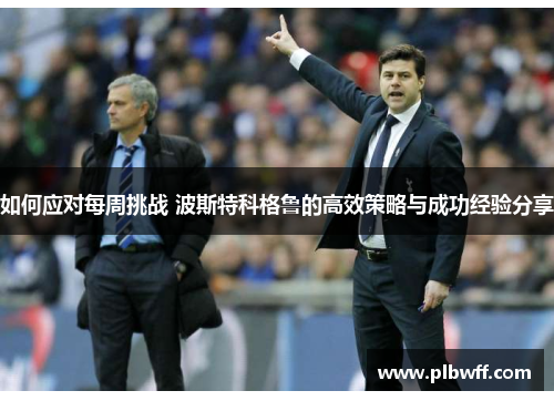 如何应对每周挑战 波斯特科格鲁的高效策略与成功经验分享