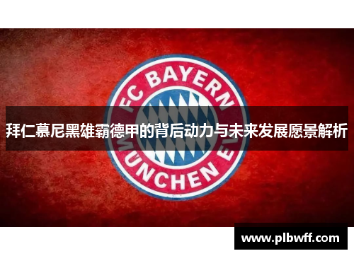 拜仁慕尼黑雄霸德甲的背后动力与未来发展愿景解析 拜仁慕尼黑雄霸德甲的背后动力与未来发展愿景解析