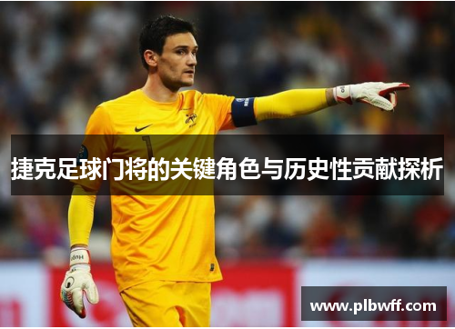 捷克足球门将的关键角色与历史性贡献探析