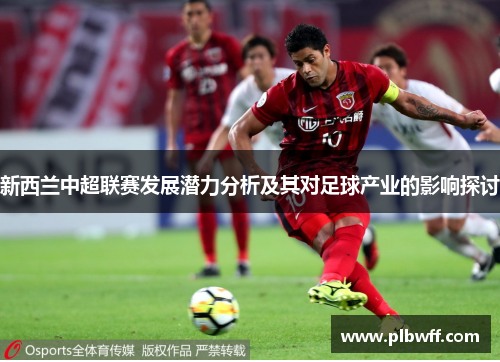 新西兰中超联赛发展潜力分析及其对足球产业的影响探讨